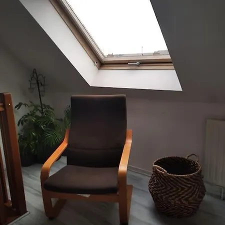 Tres Joli Duplex Proche Centre Ville